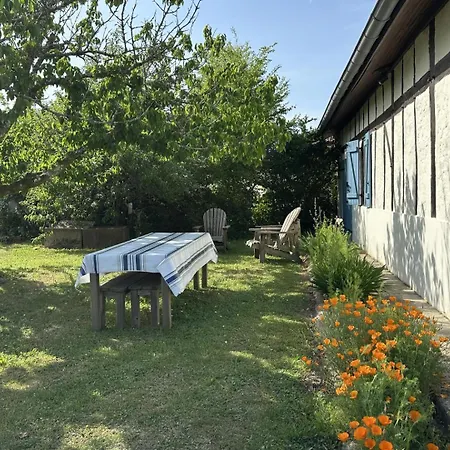 D'angouade